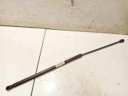 Gasfeder für Motorhaube Volkswagen Golf, V 2003.10 - 2008.10 1k0823359a, BKD