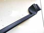 Zierleiste Leiste - Hinten Linke Tesla Model Y, 2020 --> 150006400c, 1500064-00-c