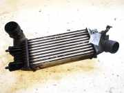 Ladeluftkühler Citroen C5, I 2001.03 - 2008.02 Gebraucht,