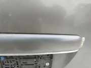 Kennzeichenleuchte Citroen C5, I 2001.03 - 2008.02 Gebraucht ,