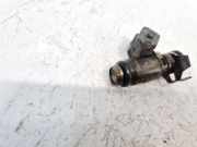 Einspritzdüse Renault Megane, I 1999.03 - 2002.10 facelift 048H104274,