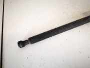 Gasdruckfeder Kofferraum Citroen C3 Pluriel 2003 - 2010 9646253480,