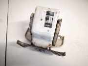 Türscharnier Hinten Renault Trafic, X83 2001.03 - 2006.08 Gebraucht,