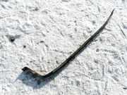 Halteband Kraftstoffbehälter Ford Galaxy, Mk I 2000.04 - 2006.04 facelift Gebraucht ,