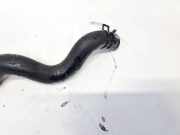 K?hlerschlauch Toyota RAV-4, II 2000.09 - 2005.11 Gebraucht,