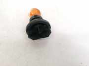 Gl?hbirnenfassung Blinker Opel Signum, 2003.05 - 2008.06 Gebraucht,