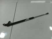 Gasdruckfeder Kofferraum Toyota Corolla, 2004.02 - 2007.02 facelift 2927T00440N,2927T0 0440N