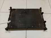 Wasserkühler Renault Scenic, II 2003.06 - 2006.06 RM1262,RM1262 872199F