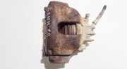 Bremssattel - Vorne Rechts Volvo S80, 1998.05 - 2004.06 Gebraucht,