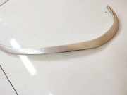 Zierleiste Leiste - Hinten Rechts Renault Scenic, II 2003.06 - 2006.06 Gebraucht,