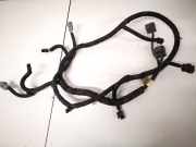 Kabelbaum Hyundai ix55 2009 - 2015 918103j043,