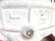 Radhausschale - Hinten Linke BMW X1, E84 2009.01 - 2015.06 Gebraucht,