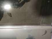 Zierleiste Leiste - Hinten Linke Volkswagen Passat, B5+ 2000.11 - 2005.05 Gebraucht, AWX