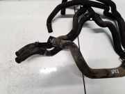 K?hlerschlauch Renault Scenic, II 2003.06 - 2006.06 Gebraucht,