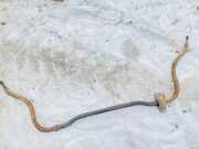 Stabilisator Vorne Audi 100, C4 1991.01 - 1994.06 Gebraucht,