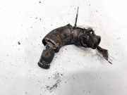 Kühlerschlauch Fiat Ulysse, II 2002.06 - 2014.12 Gebraucht,