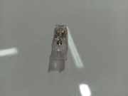 Innenraumleuchte Renault Megane, III 2008.11 - 2012.06 Gebraucht ,