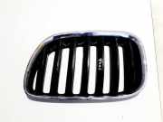 K?hlergrill Frontgrill K?hlergitter BMW X5, E53 facelift 2004 - 2006 51137113737,