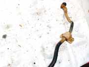 Stabilisator Vorne Fiat Punto, 2005.10 - 2012.03 Gebraucht,