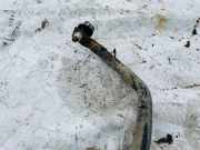 Stabilisator Vorne Volkswagen Passat, B6 2005.08 - 2010.11 3C0411303AC, Bmp