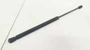 Gasdruckfeder Kofferraum Mercedes-Benz W210, 1995.06 - 1999.07 A2108800429,