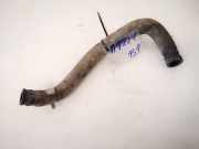 Kühlerschlauch Mazda Premacy, 1999.01 - 2005.03 Gebraucht,