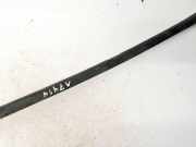 Zierleiste Leiste - Hinten Rechts BMW 3-Series, E46 2002.06 - 2005.02 facelift Gebraucht,