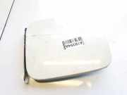 Tankdeckel Tankklappe Nissan Juke, I F15 2010.06 - 2019.06 Gebraucht,