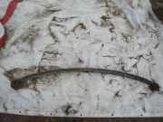 Blattfeder Vorne Volkswagen LT, 1975.01 - 1996.06 Gebraucht,