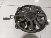 Kühlerlüfter Lüftermotor Citroen Berlingo, II 2008.04 - 2018 Gebraucht,