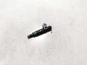 Einspritzdüse BMW X5, E53 facelift 2004 - 2006 7525721,4181a01915