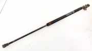 Gasdruckfeder Kofferraum Toyota Yaris, I (XP10) 1999.04 - 2003.03 041398500N,M02922039