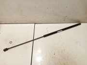 Gasfeder für Motorhaube Audi A6, C6 2005.01 - 2008.10 4f0823359a,