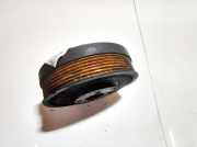 Riemenscheibe Kurbelwelle Audi A2, 2000.02 - 2005.08 045105243, 045105243BTR