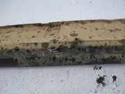 Verkleidung Schweller - Rechts Opel Astra, G 1998.09 - 2004.12 Gebraucht,