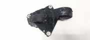 Halter für Motoraufhängung Citroen C5, I 2001.03 - 2008.02 9630604180,9630604180