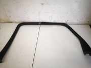 Zierleiste Leiste - Hinten Rechts Renault Scenic, II 2006.06 - 2009.02 facelift 8200167199,8200167199 MP5543