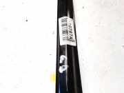 Zierleiste Leiste - Hinten Rechts Subaru Forester, II 2002.06 - 2007.12 Gebraucht,