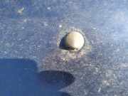 Waschwasserd?se Scheibenreinigung Opel Corsa, B 1993.03 - 2000.09 Gebraucht,