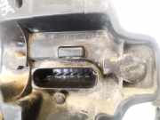 Lampenträger Heckleuchte - Hinten Volkswagen Touran, 2003.01 - 2006.10 1T0945257D, BKD