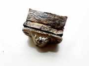 Kennzeichenleuchte Volkswagen Passat, B3 1988.03 - 1993.07 24718,