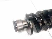 Kurbelwelle Nissan Terrano, II 1993.02 - 2006.12 Gebraucht,