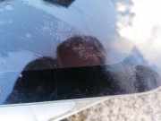 Seitenfenster Seitenscheibe - Mazda 323, 1994.01 - 1998.09 Gebraucht ,