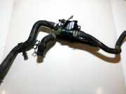 Thermostat Ford Focus, 2008.06 - 2011.04 facelift Gebraucht ,