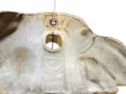 Hitzeschutzblech Abgaskrümmer Opel Vectra, C 2002.04 - 2005.10 Gebraucht,