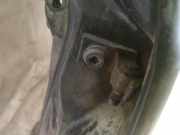 Türscharnier Hinten Audi A6, C5 2001.08 - 2005.01 facelift Gebraucht ,