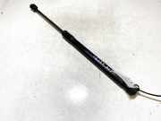 Gasdruckfeder Kofferraum Renault Megane, III 2008.11 - 2012.06 904510001r,020600f3 0600n