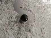 Waschwasserdüse Scheibenreinigung Opel Vectra, B 1995.09 - 2000.09 Gebraucht,