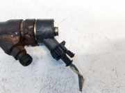 Einspritzdüse Peugeot 307, 2000.08 - 2005.06 0445110076, 9641742880