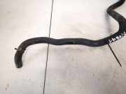 Kühlerschlauch Nissan Primera, P12 2002.01 - 2008.12 Gebraucht,